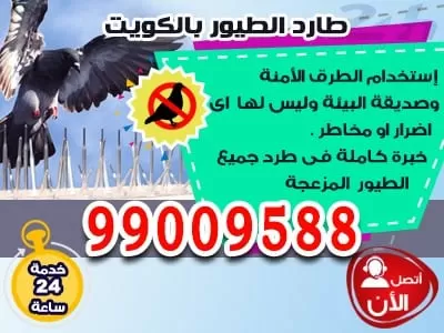 تركيب شبك طارد الطيور من الشبابيك 99382838 طارد الطيور الحمام الكويت
